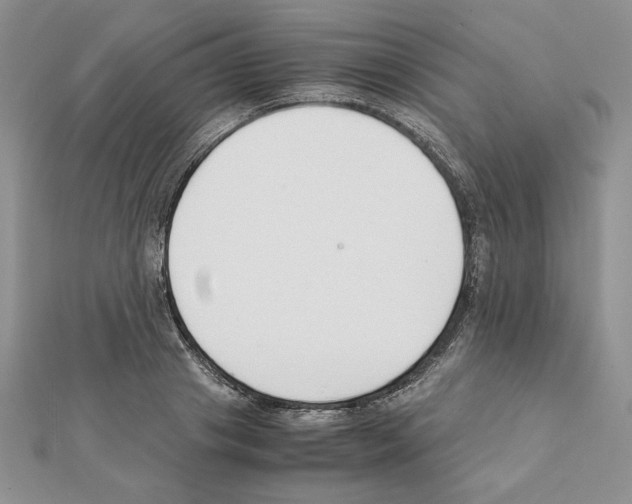 X0000111350841200908211233