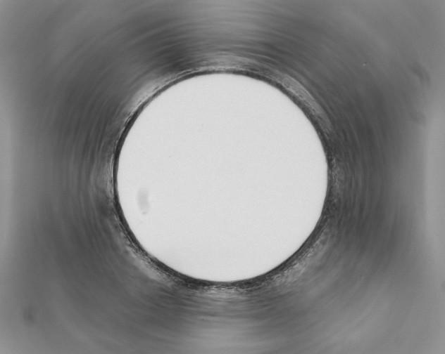 X0000111350842200908211233