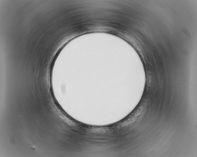 X0000111350843200908211233