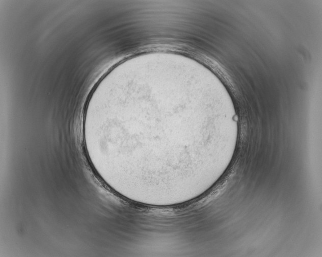 X0000111350844200908211233
