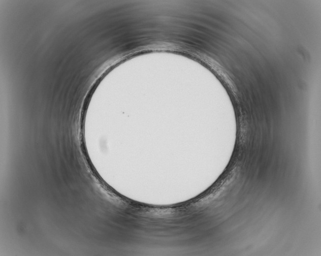 X0000111350845200908211233