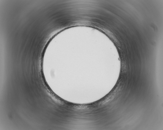X0000111350846200908211233