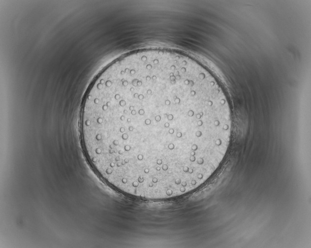 X0000111350847200908211233