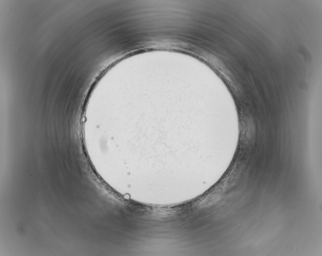 X0000111350848200908211233