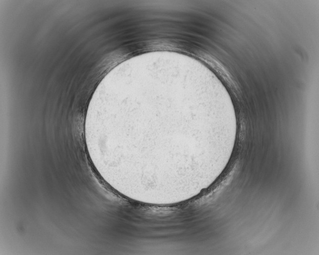 X0000111350849200908211233