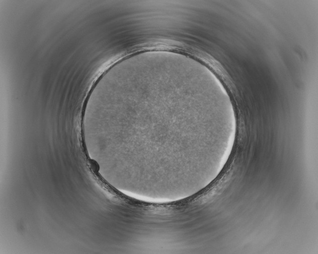 X0000111350850200908211233