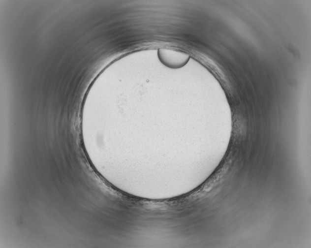 X0000111350852200908211233