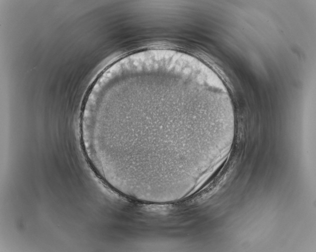 X0000111350853200908211233