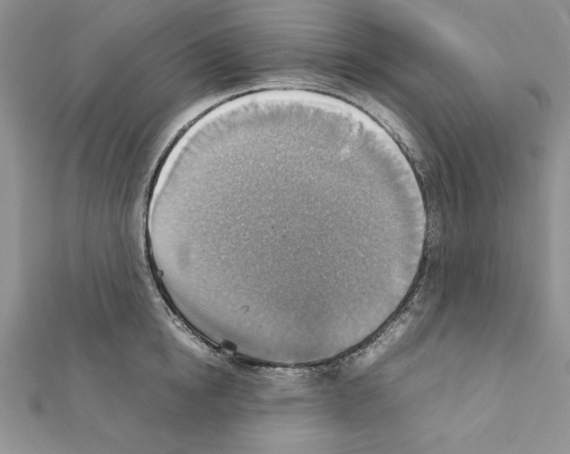 X0000111350854200908211233