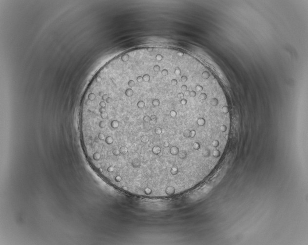 X0000111350855200908211233