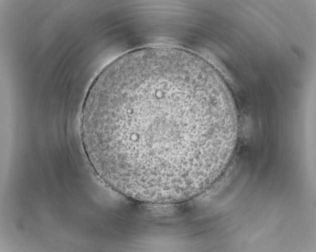 X0000111350856200908211233