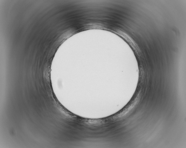 X0000111350857200908211233