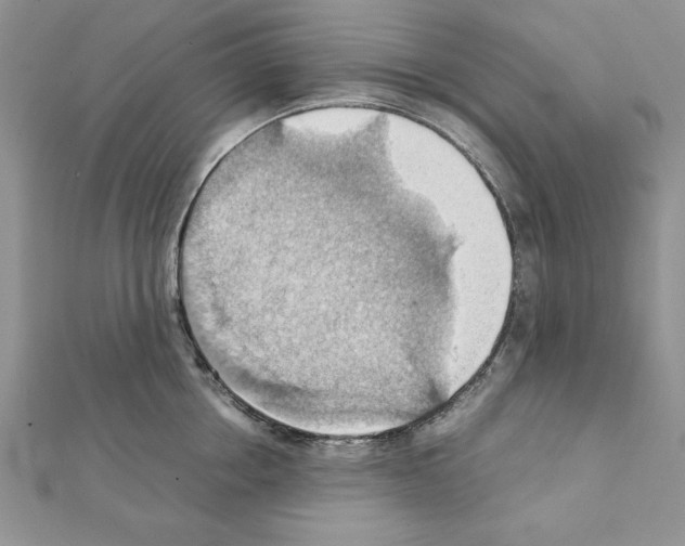 X0000111350858200908211233