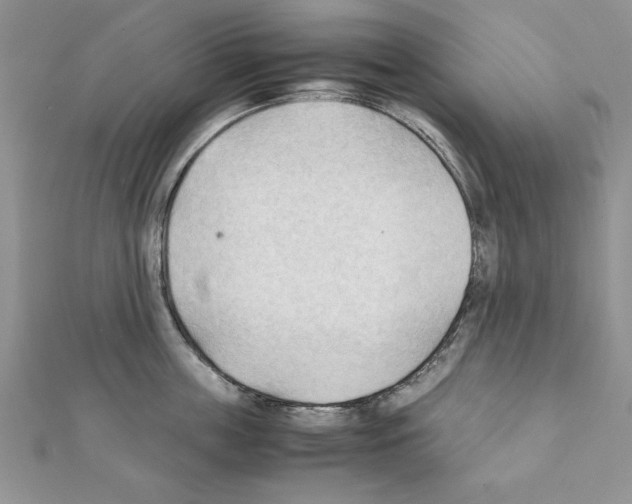 X0000111350859200908211233