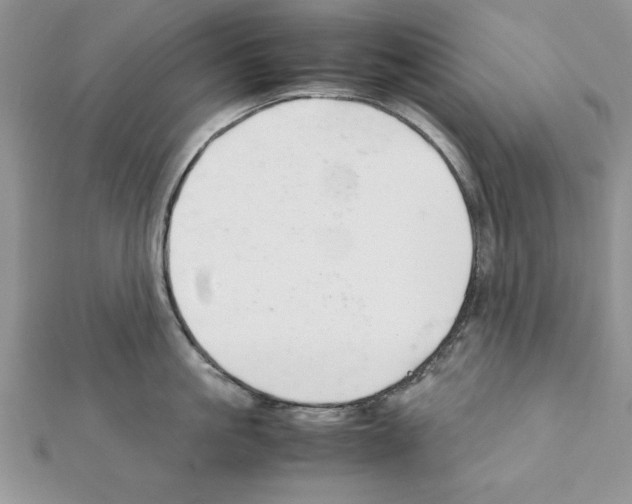 X0000111350861200908211233