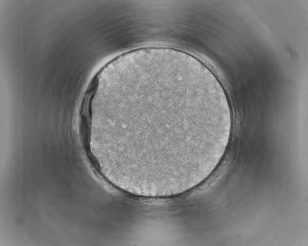 X0000111350862200908211233