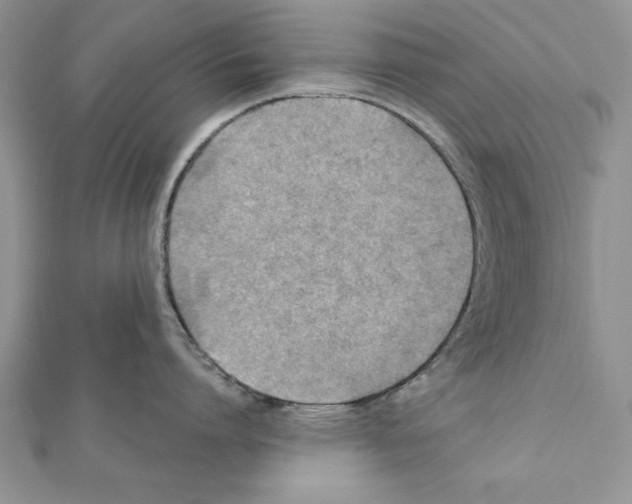 X0000111350864200908211233