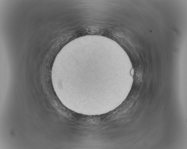 X0000111350865200908211232