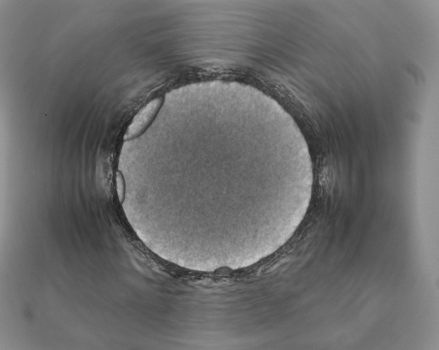 X0000111350868200908211232