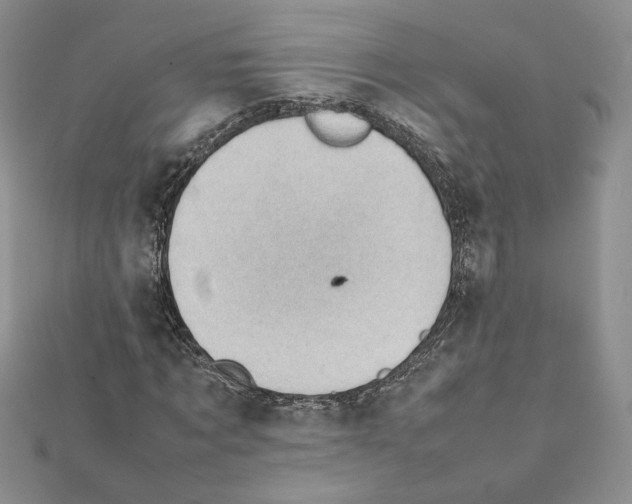X0000111350869200908211232