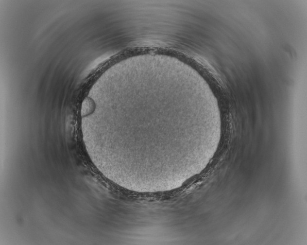 X0000111350872200908211232