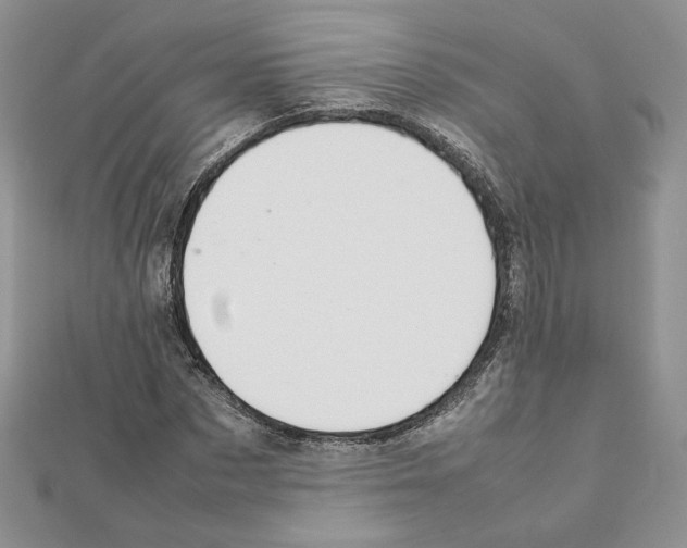 X0000111350873200908211232