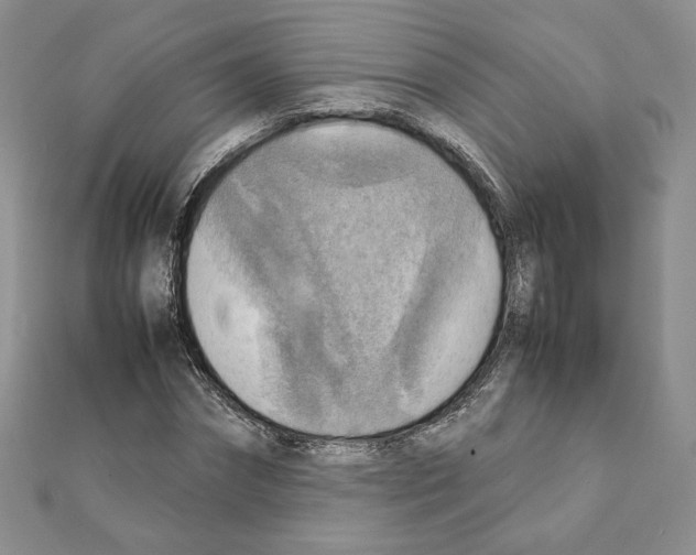 X0000111350874200908211232