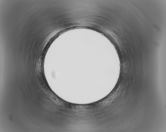 X0000111350875200908211232