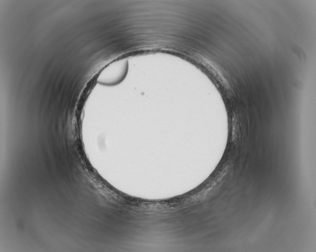 X0000111350876200908211232