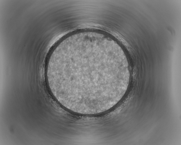 X0000111350877200908211232