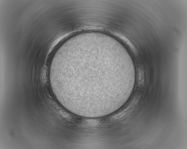X0000111350878200908211232