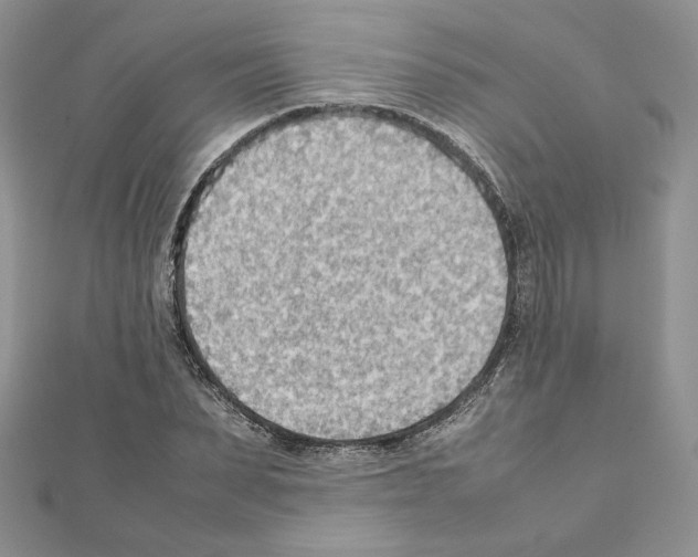 X0000111350879200908211232