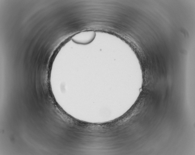 X0000111350880200908211232