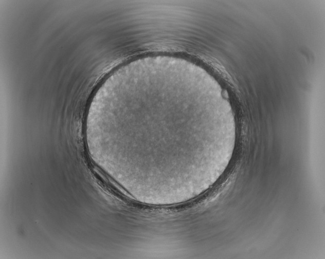 X0000111350881200908211232