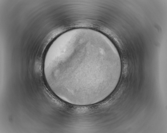 X0000111350882200908211232