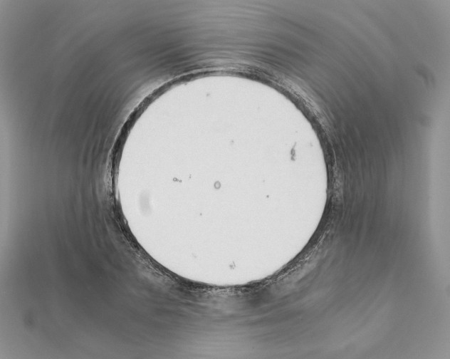 X0000111350883200908211232
