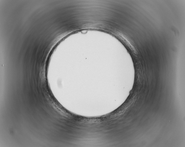 X0000111350884200908211232