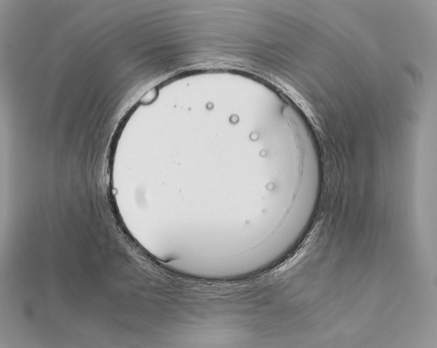 X0000111350885200908211232