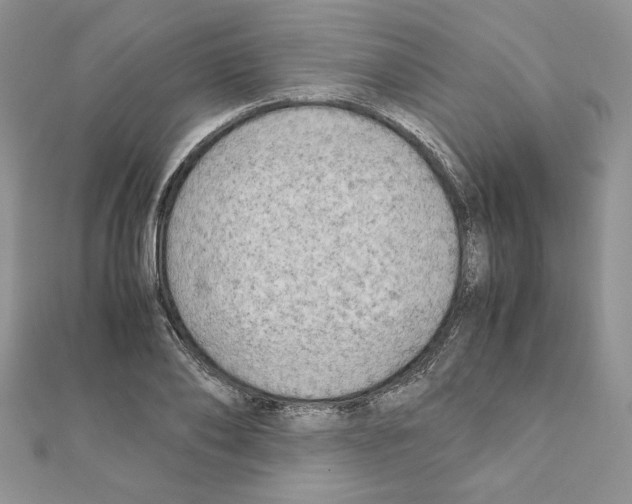 X0000111350886200908211232