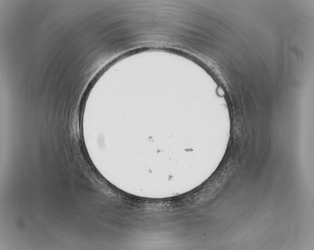 X0000111350887200908211232