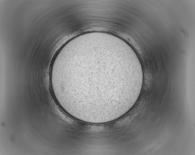 X0000111350890200908211232