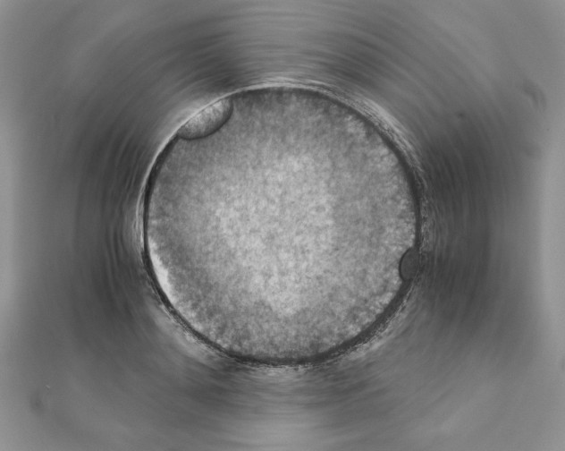 X0000111350892200908211232