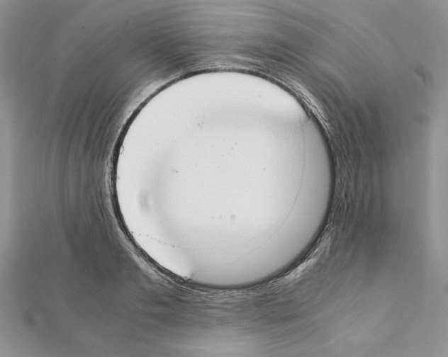 X0000111350893200908211232
