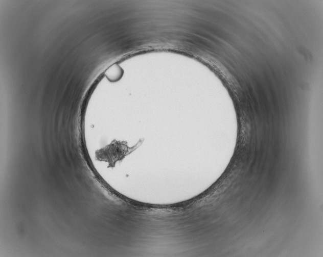 X0000111350894200908211232