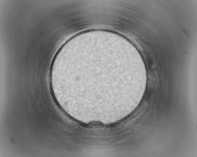 X0000111350895200908211232