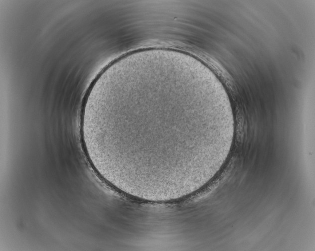 X0000111350896200908211232