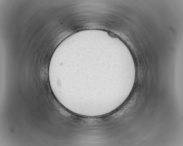 X0000111350897200908211232