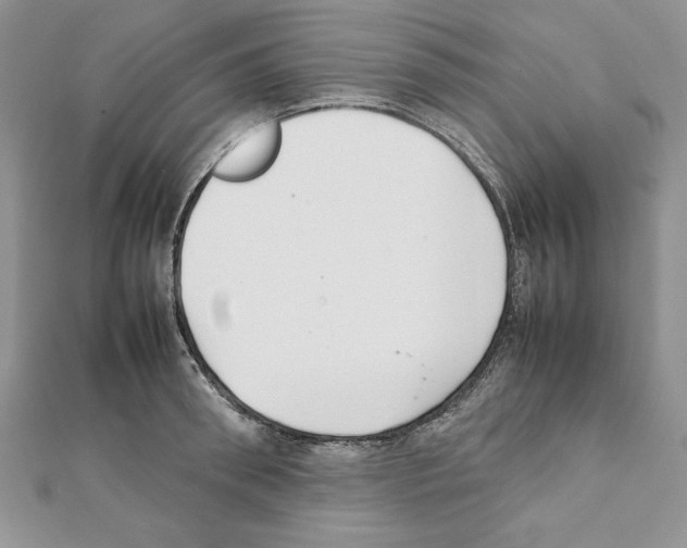 X0000111350898200908211232