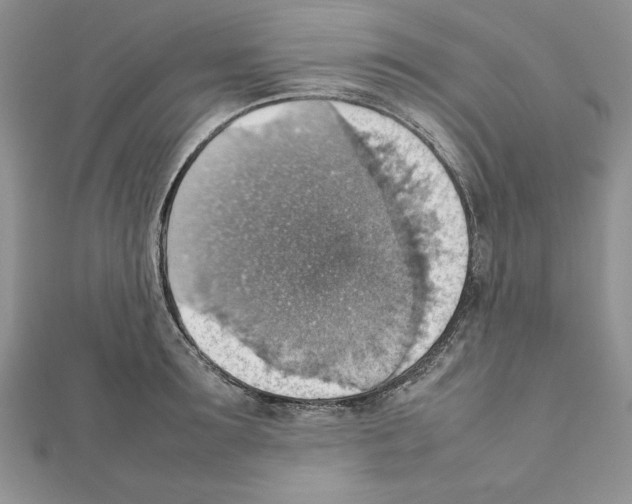 X0000111350899200908211232