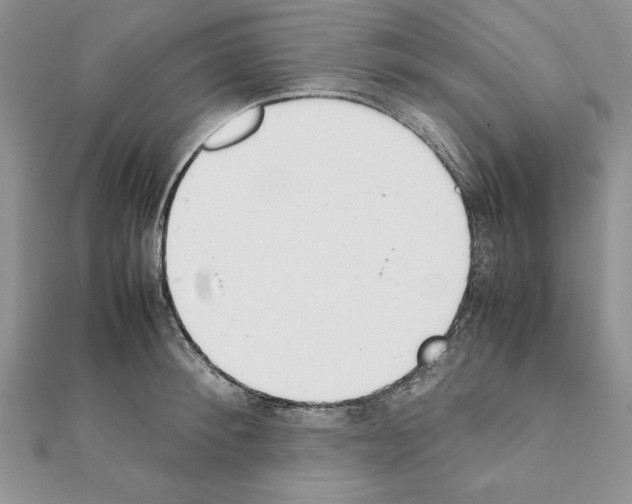 X0000111350900200908211232